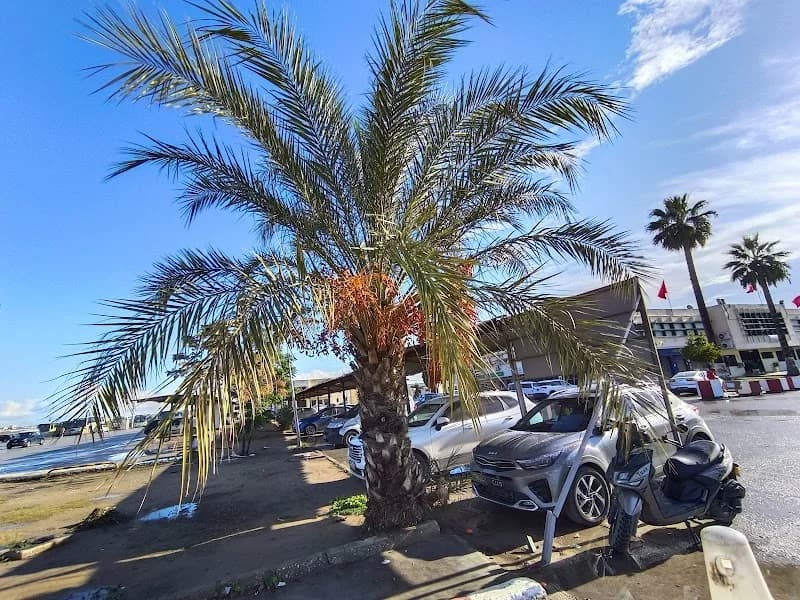 Bir El Kassaa à El Mourouj