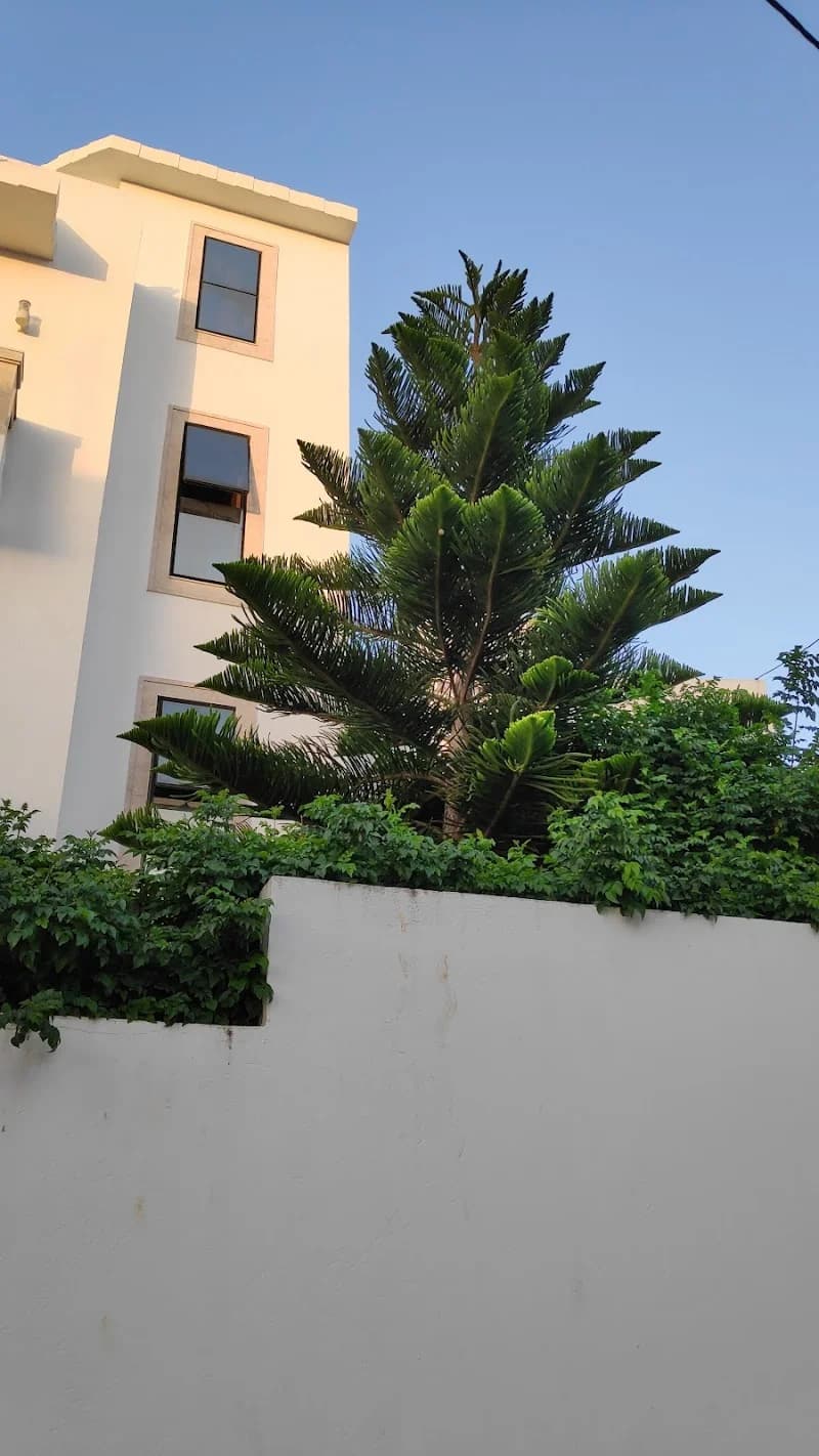 Café Virage à Ouardia