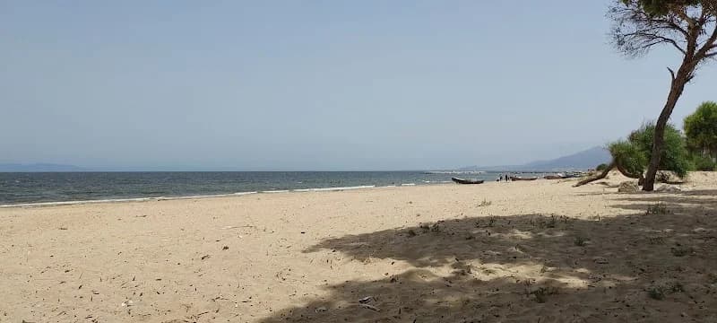 Cafe balassat à Rades