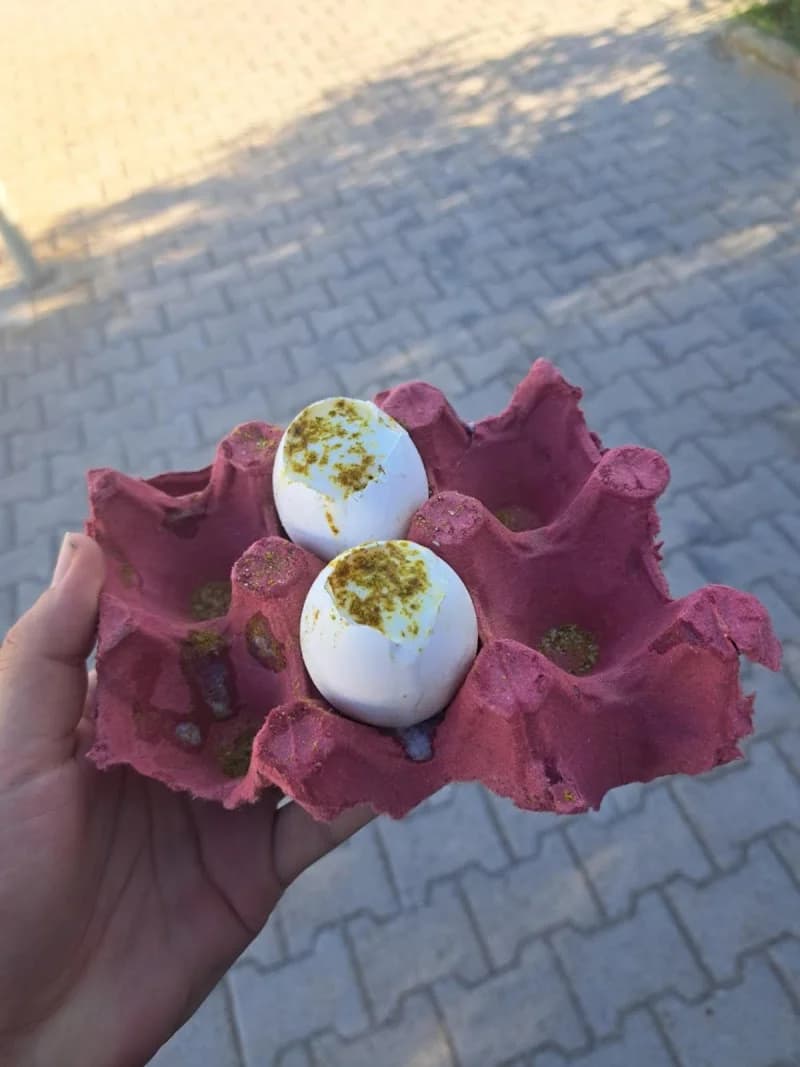 Sandwich aiary/lablebi/mraweb à La Goulette