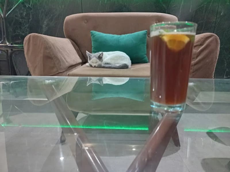 Café Bellevue à Gammarth