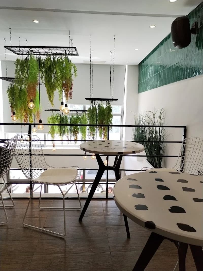 Avocado bar lac 2 à Le Kram