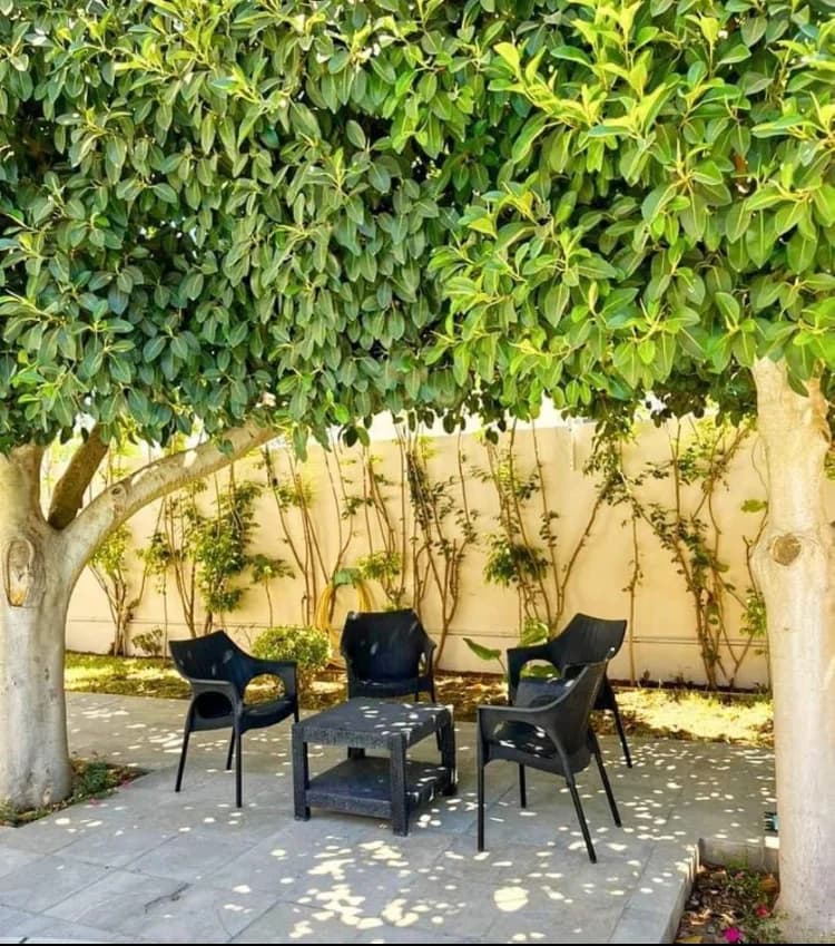 Raoued 1 à Gammarth