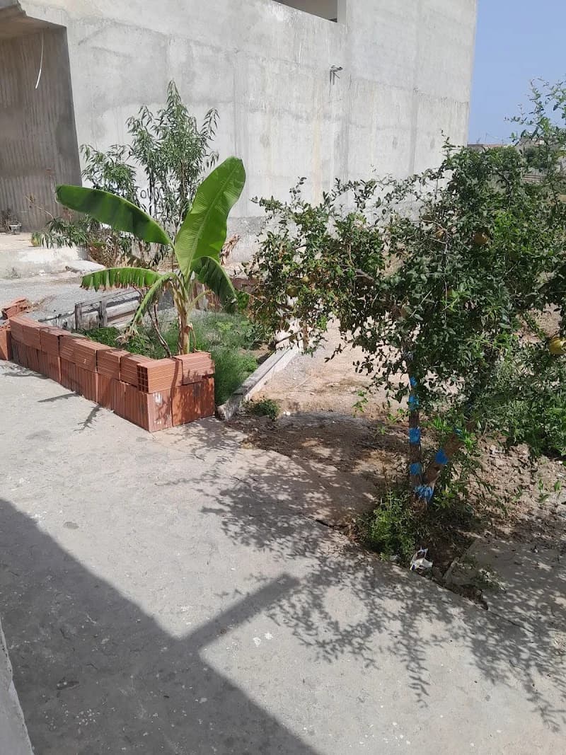 Cafe awled el haj à El Mourouj